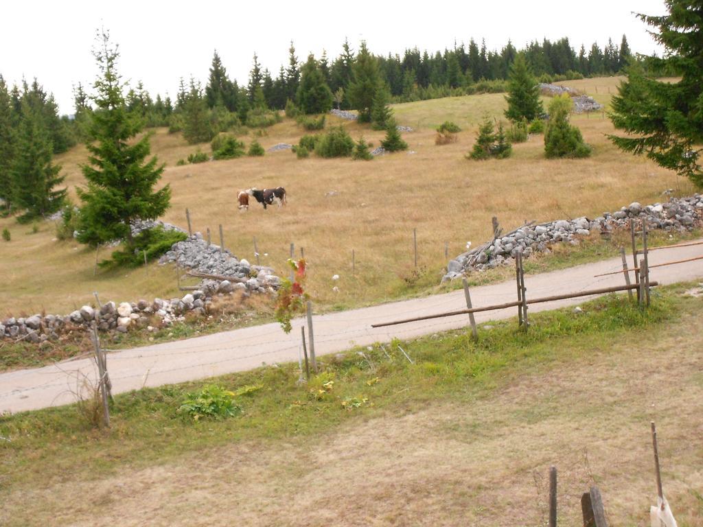 Zabljak Izdavanje Kuce Esterno foto